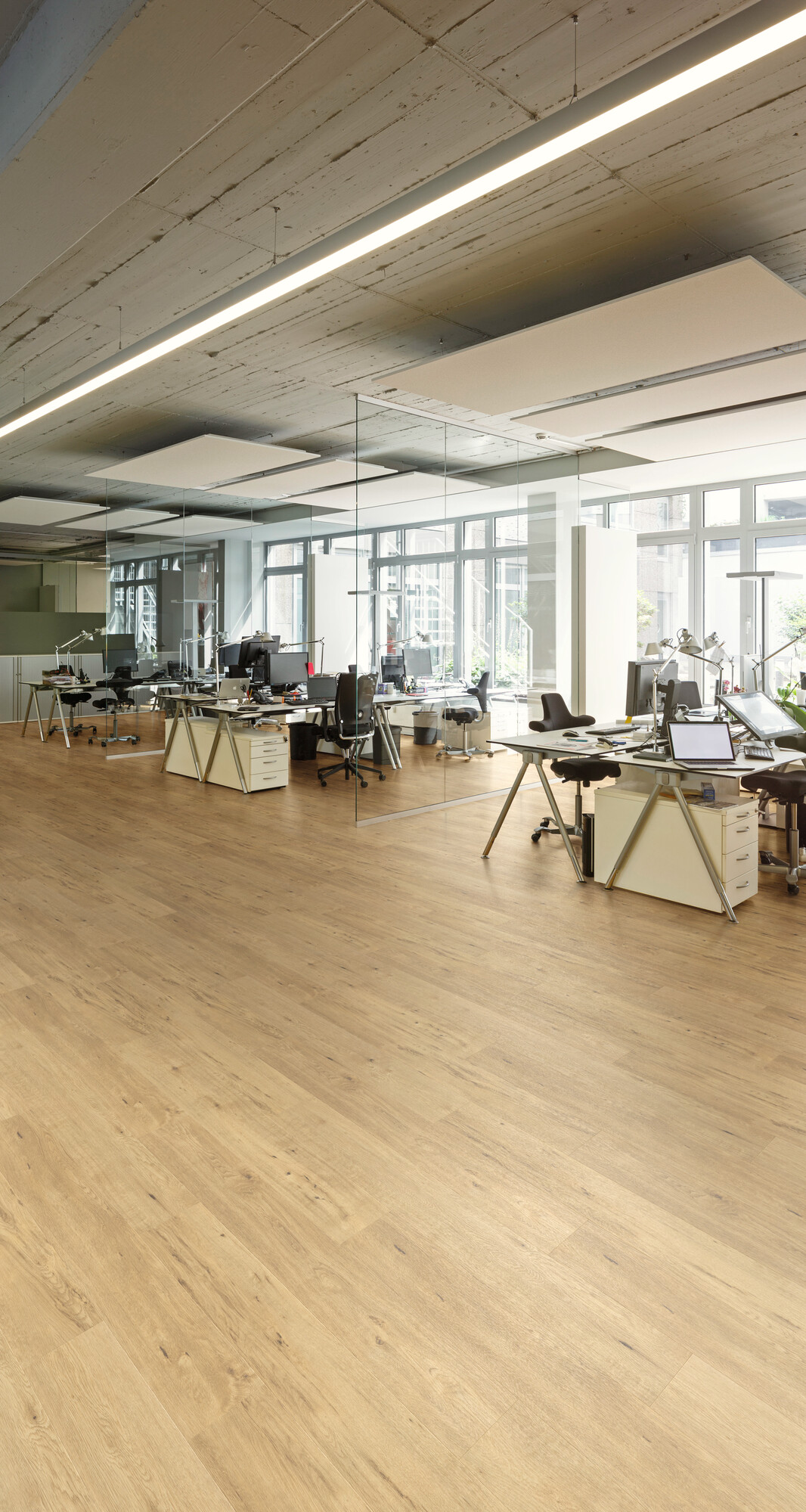 kancelarija expona clic