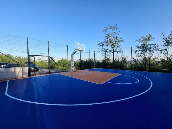 Koš za dvorište na privatnom terenu u Malom Požarevcu