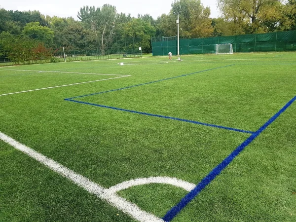 Teren od veštačke trave sa belim i plavim linijama za dva sporta