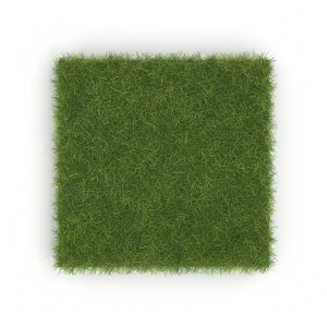 Condor Playgrass